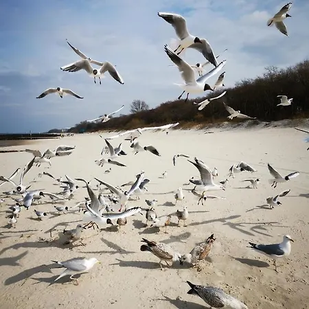 아파트 317 W Royal Tuli Prywatny Przy Plazy Z Aneksem Kuchennym 코워브제크