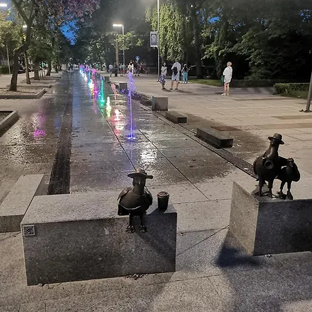 317 W Royal Tuli Prywatny Przy Plazy Z Aneksem Kuchennym Lejlighed Kołobrzeg