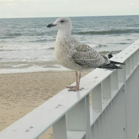 317 W Royal Tuli Prywatny Przy Plazy Z Aneksem Kuchennym * 코워브제크