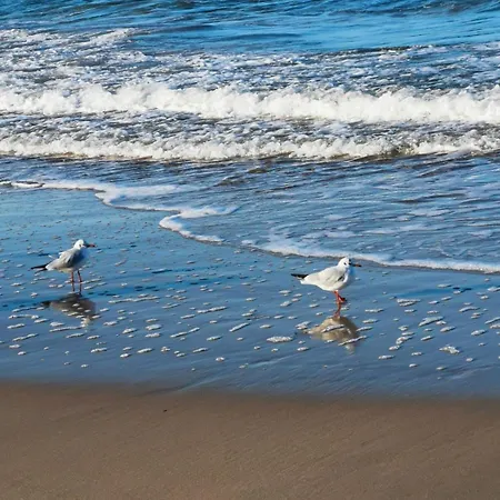 317 W Royal Tuli Prywatny Przy Plazy Z Aneksem Kuchennym 아파트