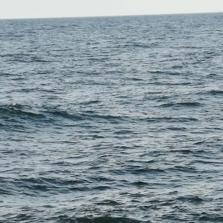 317 W Royal Tuli Prywatny Przy Plazy Z Aneksem Kuchennym