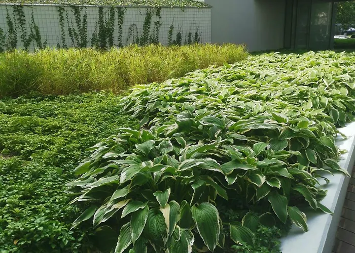 Lejlighed 317 W Royal Tuli Prywatny Przy Plazy Z Aneksem Kuchennym *