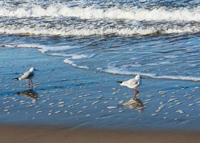 317 W Royal Tuli Prywatny Przy Plazy Z Aneksem Kuchennym Lejlighed