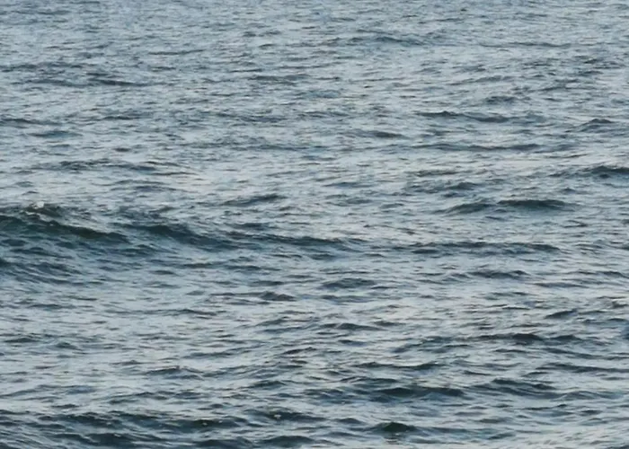 317 W Royal Tuli Prywatny Przy Plazy Z Aneksem Kuchennym